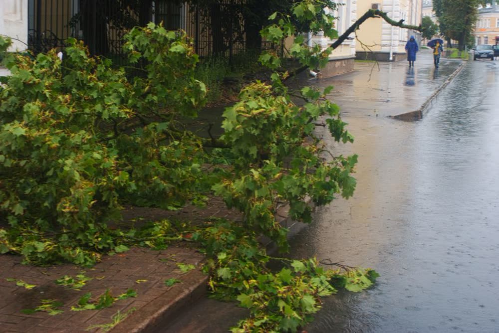 Storm Damage & Emergency